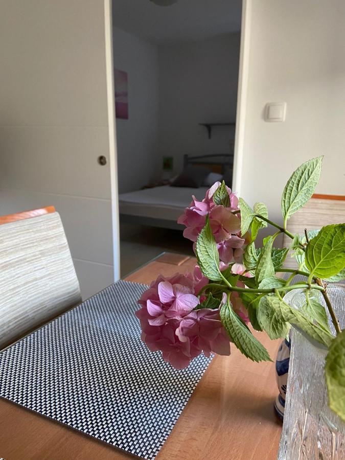 Duje & Roko Apartments Sibenik Ngoại thất bức ảnh
